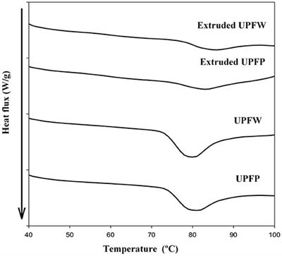 Extruded Unripe Plantain Flour as an Indigestible Carbohydrate-Rich Ingredient